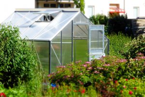 greenhouse-827464_960_720