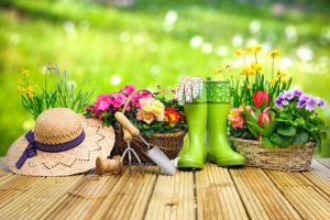 Gardening tools and flowers on the terrace in the garden